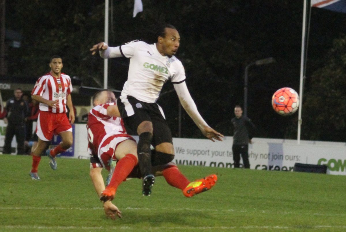SPITFIRES DOWN WHITES