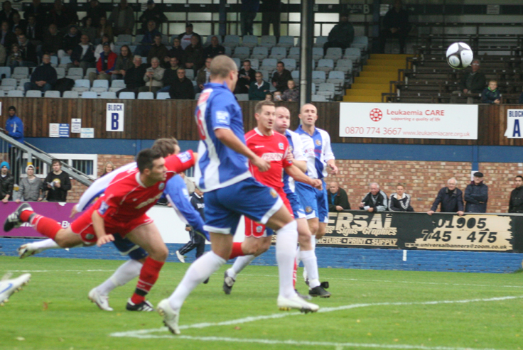 WORCESTER TAME WHITES