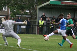 2016-10-15 BurgessHillA (FAC) 19 Marsh