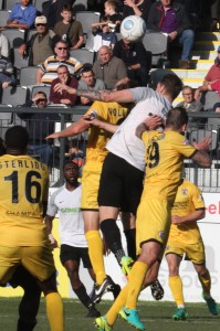 2017-10-14 BromleyH (FAC) 21 Bird