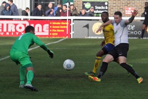 2017-10-21 MaidenheadH 17 Bird
